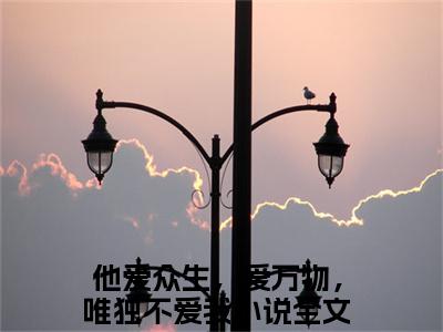 汐雾元辰（他爱众生，爱万物，唯独不爱我）全文免费阅读_（他爱众生，爱万物，唯独不爱我）最新章节小说免费阅读（汐雾元辰）