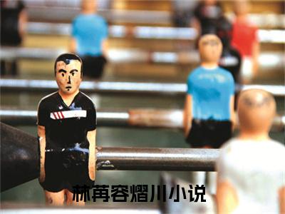 林苒容熠川全文免费在线阅读_（林苒容熠川全文免费阅读无弹窗大结局）林苒容熠川最新章节列表_笔趣阁