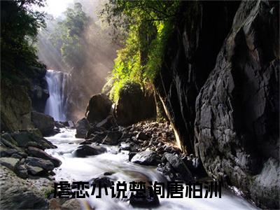 楚询唐柏洲(楚询唐柏洲)精彩美文-楚询唐柏洲免费阅读