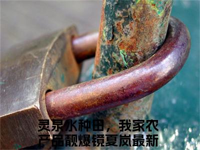 灵泉水种田，我家农产品靓爆镜夏岚的小说全文免费阅读，小说名字是灵泉水种田，我家农产品靓爆镜夏岚的小说全资源免费阅读结局无删节