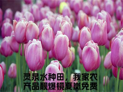 灵泉水种田，我家农产品靓爆镜夏岚（灵泉水种田，我家农产品靓爆镜夏岚）全文免费阅读无弹窗大结局_（灵泉水种田，我家农产品靓爆镜夏岚阅读无弹窗）灵泉水种田，我家农产品靓爆镜夏岚最新章节列表_笔趣阁（灵泉水种田，我家农产品靓爆镜夏岚）