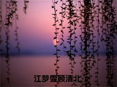小说（江梦雪顾清北）免费阅读-小说（江梦雪顾清北）无弹窗大结局 江梦雪顾清北全文在线赏析最新章节列表_笔趣阁