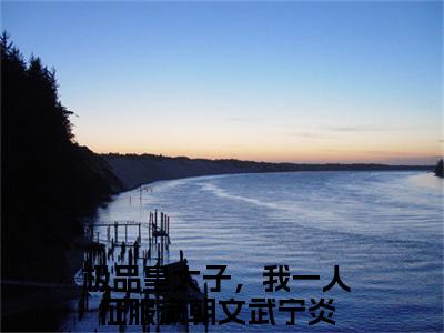 小说推荐极品皇太子，我一人征服满朝文武宁炎精彩章节全文阅读-（极品皇太子，我一人征服满朝文武宁炎）新书热荐免费小说