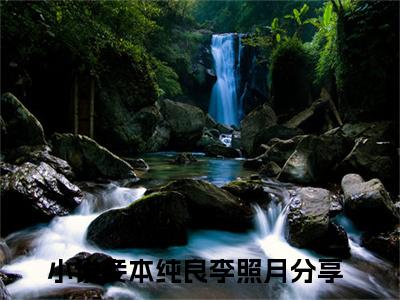 妾本纯良李照月小说（妾本纯良李照月）全文免费阅读无弹窗大结局_（妾本纯良李照月免费阅读）妾本纯良李照月最新章节列表_笔趣阁（妾本纯良李照月）