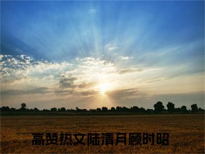 陆清月顾时昭全文免费阅读无弹窗-陆清月顾时昭小说最新章节列表
