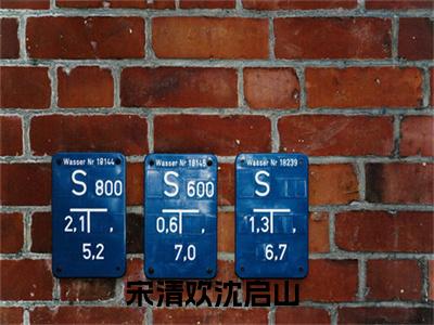 宋清欢沈启山（宋清欢沈启山）无广告免费阅读-宋清欢沈启山小说最后结局如何