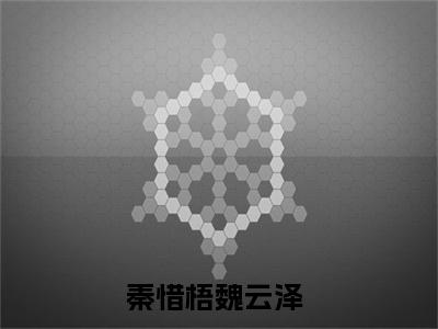 秦惜梧魏云泽（秦惜梧魏云泽）全文免费阅读无弹窗大结局_（秦惜梧魏云泽无弹窗）_笔趣阁