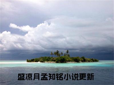 好看的小说推荐盛凉月孟知铭 盛凉月孟知铭全文试读免费大结局