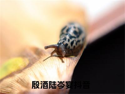 殷酒陆岑宴（殷酒陆岑宴）全文免费阅读无弹窗大结局_（殷酒陆岑宴无弹窗）_笔趣阁