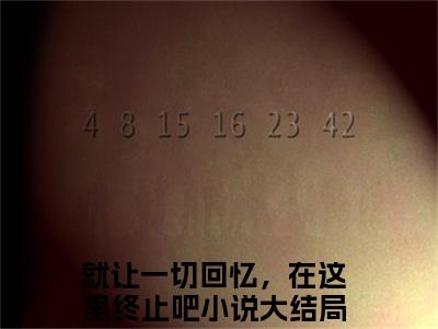 就让一切回忆，在这里终止吧（宋昭禾陆琮聿）小说全文免费阅读无弹窗大结局_就让一切回忆，在这里终止吧最新章节列表