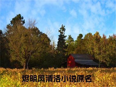 烬明凤清洛(烬明凤清洛)全文免费阅读大结局_烬明凤清洛免费在线阅读_笔趣阁（烬明凤清洛）
