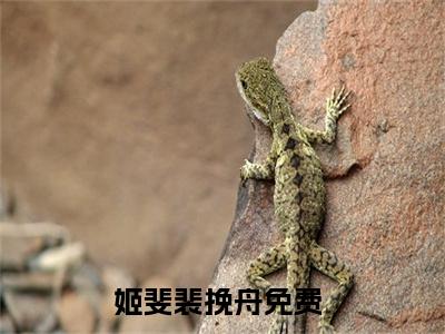 姬斐裴挽舟小说免费下载阅读_(姬斐裴挽舟)姬斐裴挽舟最新章节列表_笔趣阁（姬斐裴挽舟）