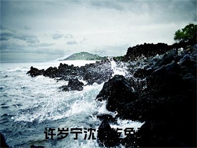 许岁宁沈君屹（许岁宁沈君屹）全文免费阅读无弹窗_许岁宁沈君屹最新小说_笔趣阁（许岁宁沈君屹）