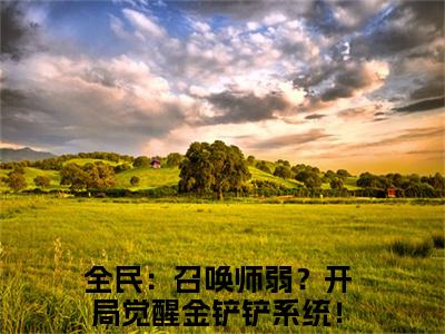 全民：召唤师弱？开局觉醒金铲铲系统！李遥免费小说 全民：召唤师弱？开局觉醒金铲铲系统！李遥全文阅读目录