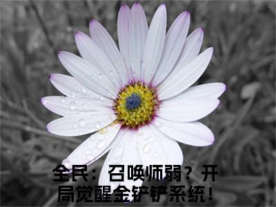 全民：召唤师弱？开局觉醒金铲铲系统！李遥全文免费在线阅读_（全民：召唤师弱？开局觉醒金铲铲系统！李遥全文免费阅读无弹窗大结局）