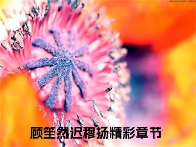 顾笙然迟穆扬(顾笙然迟穆扬)全文免费阅读_顾笙然迟穆扬章节免费阅读-笔趣阁