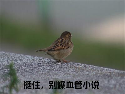 挺住，别爆血管（孟祁然秦时雨）全文免费阅读无弹窗大结局_孟祁然秦时雨最新章节列表
