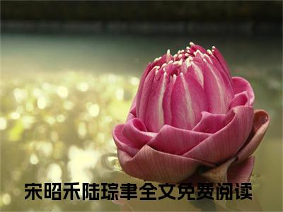 宋昭禾陆琮聿全文免费阅读_（就让一切回忆，在这里终止吧免费阅读无弹窗）就让一切回忆，在这里终止吧最新章节列表笔趣阁