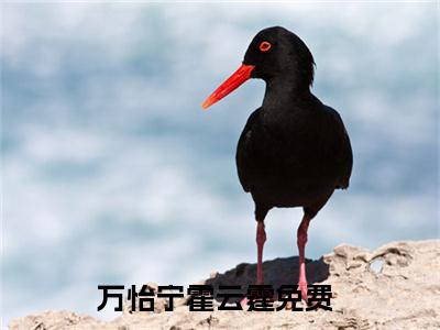 万怡宁霍云霆（万怡宁霍云霆）全文免费阅读无弹窗大结局_万怡宁霍云霆完整版小说阅读（万怡宁霍云霆）