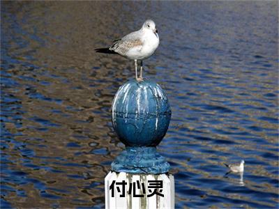快穿之那个公主病女配在线阅读（付心灵小说）全文免费阅读无弹窗大结局_付心灵免费最新章节列表