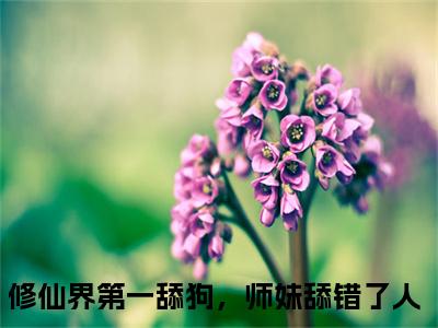 修仙界第一舔狗，师妹舔错了人独家小说叶淼淼-修仙界第一舔狗，师妹舔错了人无删版小说推荐