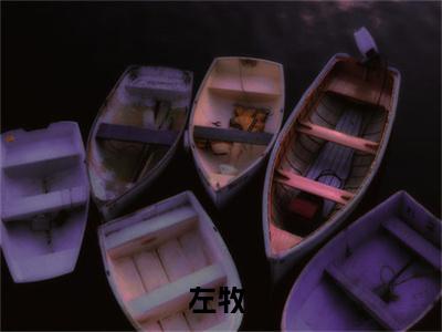 网游：从无限强化开始（左牧）在哪免费看-网游：从无限强化开始小说（左牧）全文完整版免费阅读