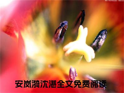 救赎黑化男配的第六年（安岚漪沈湛）小说全文免费阅读无弹窗大结局_（安岚漪沈湛）最新章节列表（救赎黑化男配的第六年）