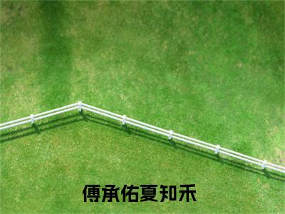 傅承佑夏知禾小说（傅承佑夏知禾）小说全文无删减版在线阅读_傅承佑夏知禾小说最新章节列表_笔趣阁