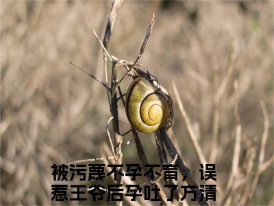 被污蔑不孕不育，误惹王爷后孕吐了方清月小说（被污蔑不孕不育，误惹王爷后孕吐了方清月）小说全文无删减版在线阅读_被污蔑不孕不育，误惹王爷后孕吐了方清月小说最新章节列表_笔趣阁