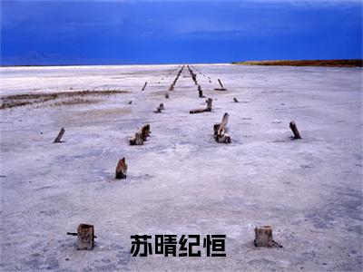 主角为苏晴纪恒的小说全文完整版阅读