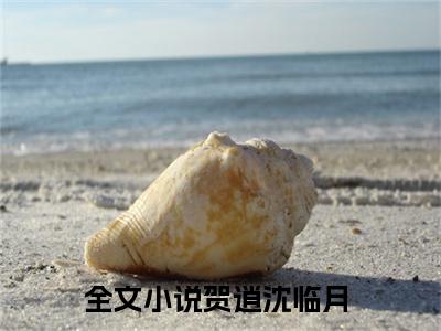 贺逍沈临月（贺逍沈临月）完结小说无弹窗-贺逍沈临月全文大结局免费阅读已完结