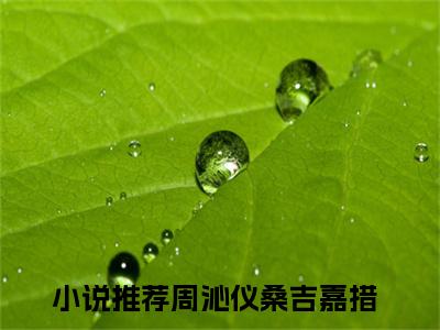周沁仪桑吉嘉措精彩章节试读-周沁仪桑吉嘉措虐心小说免费阅读