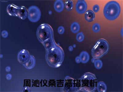 周沁仪桑吉嘉措书名是《周沁仪桑吉嘉措》在线赏析_周沁仪桑吉嘉措txt小说阅读_周沁仪桑吉嘉措在线阅读笔趣阁