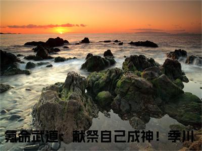 氪命武道：献祭自己成神！季川(氪命武道：献祭自己成神！季川)最新章节在线阅读-氪命武道：献祭自己成神！季川已完结全集大结局小说