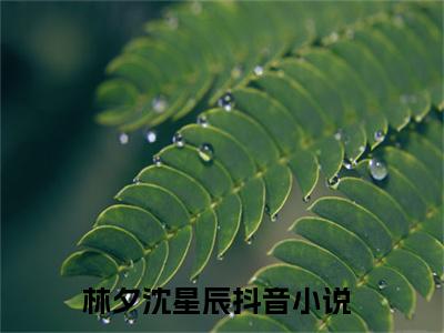 林夕沈星辰全文免费阅读无弹窗大结局_(林夕沈星辰免费阅读)林夕沈星辰最新章节在线阅读_笔趣阁
