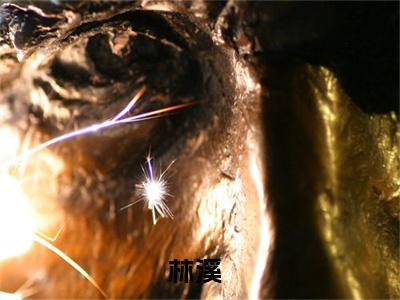 林溪（末世：拥有空间后与霸霸们重新来）全网首发最新小说-主角末世：拥有空间后与霸霸们重新来全文在线免费阅读
