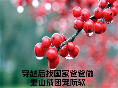 穿越后找国家爸爸做靠山成团宠（阮软）全文免费阅读无弹窗大结局_穿越后找国家爸爸做靠山成团宠免费阅读最新章节列表_笔趣阁