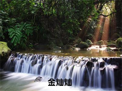 金灿灿全文免费阅读-（满级大佬，带着弟弟妹妹去逃荒）小说全文免费阅读正版无弹窗