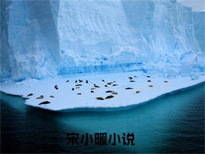 宋小暖抖音新书热荐-都重生了，谁还当舔狗啊全文在线赏析（宋小暖）