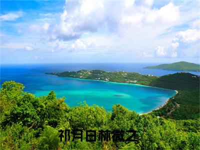 祁月白林微之后续+全文免费阅读_（祁月白林微之后续+全文免费阅读无弹窗）祁月白林微之最新章节列表笔趣阁（祁月白林微之后续+全文）