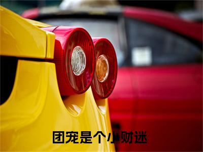 团宠是个小财迷（倾夏夜北啸）全文免费阅读无弹窗大结局_倾夏夜北啸小说最新章节列表_笔趣阁（团宠是个小财迷）