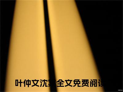 叶仲文沈棠免费小说-叶仲文沈棠已更新最新章节
