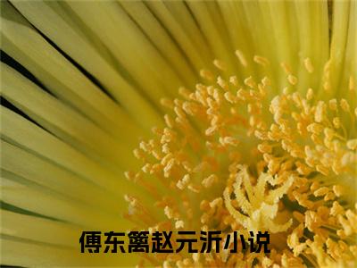 傅东篱赵元沂全集小说（傅东篱赵元沂）全文免费阅读无弹窗大结局_傅东篱赵元沂最新章节列表_笔趣阁（傅东篱赵元沂）