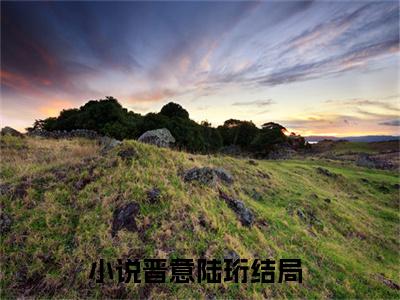 晋意陆珩小说最新章节（晋意陆珩）全文免费阅读无弹窗大结局_晋意陆珩免费阅读（晋意陆珩小说）