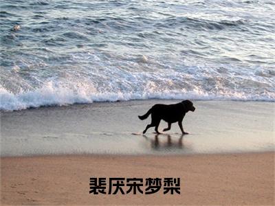 裴厌宋梦梨（裴厌宋梦梨）全文免费阅读无弹窗大结局_（裴厌宋梦梨）裴厌宋梦梨最新章节列表_笔趣阁（裴厌宋梦梨）