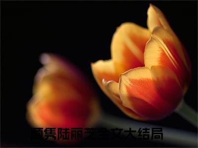 顾隽陆丽芝（顾隽陆丽芝）全文免费阅读无弹窗_顾隽陆丽芝最新小说_笔趣阁（顾隽陆丽芝）