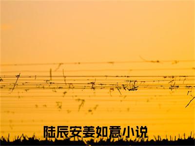 陆辰安姜如意（陆辰安姜如意小说全文）在线阅读无弹窗大结局-陆辰安姜如意全文无删减版阅读