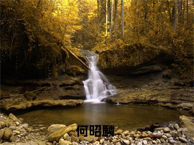 生在豪门，但我排行老二全文免费大结局-何昭麟结局在线阅读