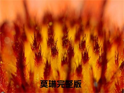 莫琳小说全文免费阅读无弹窗大结局_穿越成极品老娘，靠武力值爽飞最新章节列表_笔趣阁