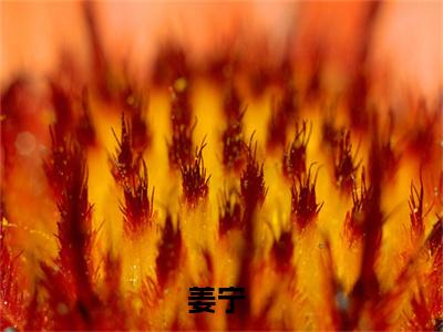 姜宁（万界拼夕夕，我靠带货暴富了）全文免费阅读无弹窗大结局_姜宁最新章节列表